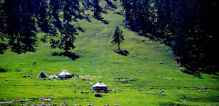 ���Ͳ���ِ���������R�ˡ�