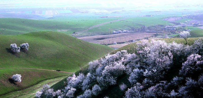 ��ԭ�ӻ��_ ���㴺����