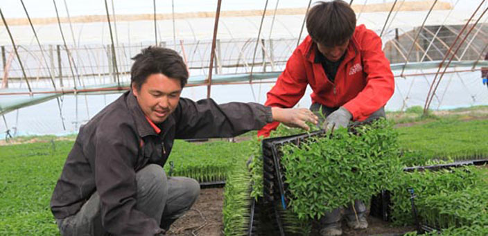 ����4.7�f�������M(j��n)��������