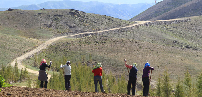 �������D(zhu��n)�ġ��R�^������̩��(ji��n)��ȫ�ǄӆT ��׌ɽ�Ǳ��˷��v