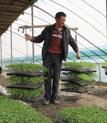 ����4.7�f�������M(j��n)��������