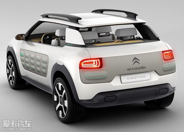 ѩ�F��Cactus����܇