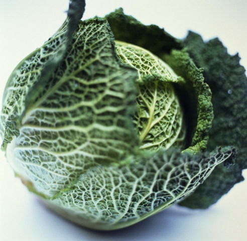 �p��ʳ�V���P�c11�N��ٝ����ʳ��