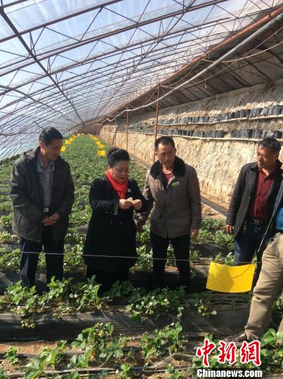 �Ї�(gu��)���������������g(sh��)׌��(n��i)�ɹ�ͬ�������Gɫϣ��