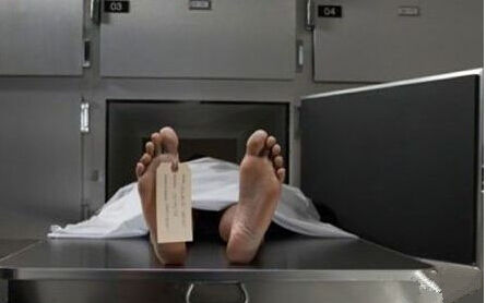 Ů���Ԛ����ű���