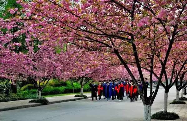 ���\�C����ӭ�����¡�������ʲô�ɫ����