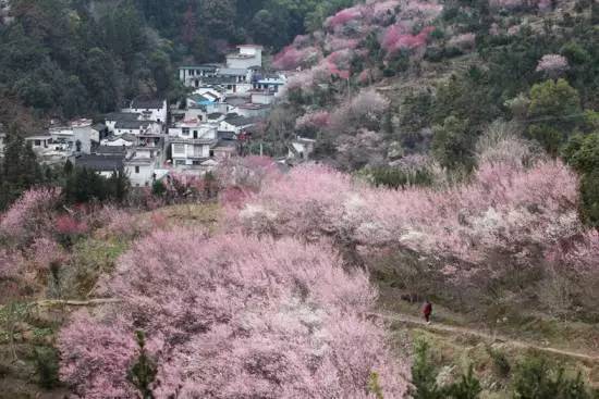 ���\�C����ӭ�����¡�������ʲô�ɫ����