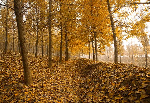 ���\�C����ӭ�����¡�������ʲô�ɫ����