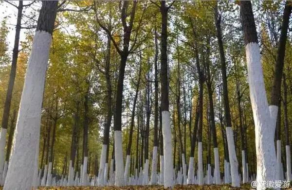 ���\�C����ӭ�����¡�������ʲô�ɫ����