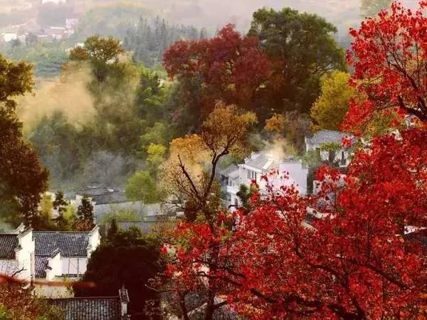 ���\�C����ӭ�����¡�������ʲô�ɫ����