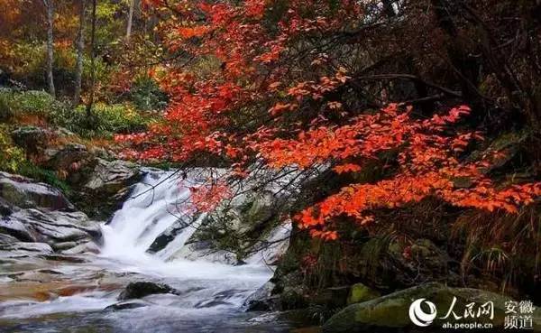 ���\�C����ӭ�����¡�������ʲô�ɫ����