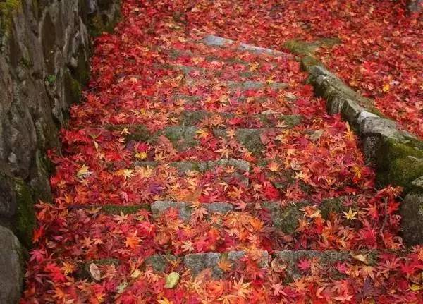 ���\�C����ӭ�����¡�������ʲô�ɫ����