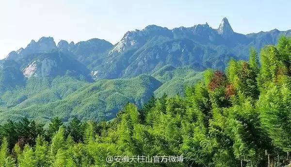 ���\�C����ӭ�����¡�������ʲô�ɫ����