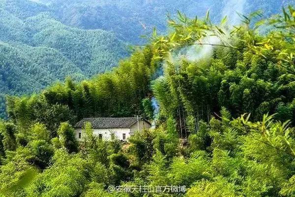 ���\�C����ӭ�����¡�������ʲô�ɫ����