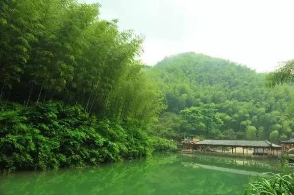 ���\�C����ӭ�����¡�������ʲô�ɫ����