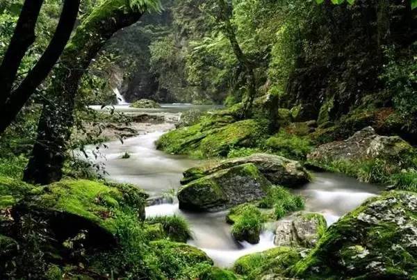 ���\�C����ӭ�����¡�������ʲô�ɫ����