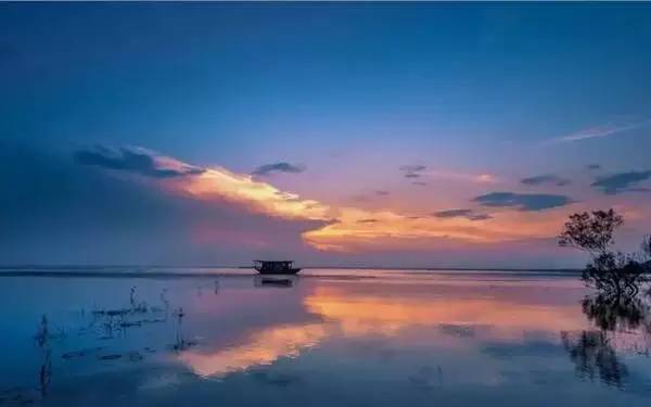 ���\�C����ӭ�����¡�������ʲô�ɫ����