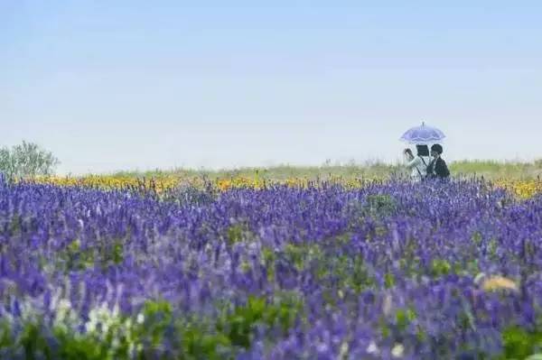 ���\�C����ӭ�����¡�������ʲô�ɫ����