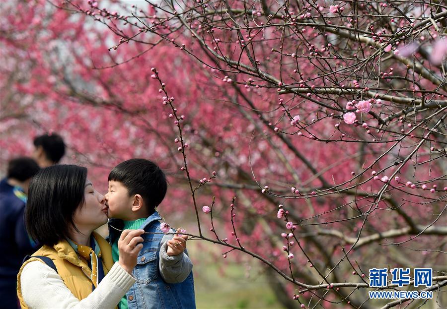 ��ʮ���һ��������L