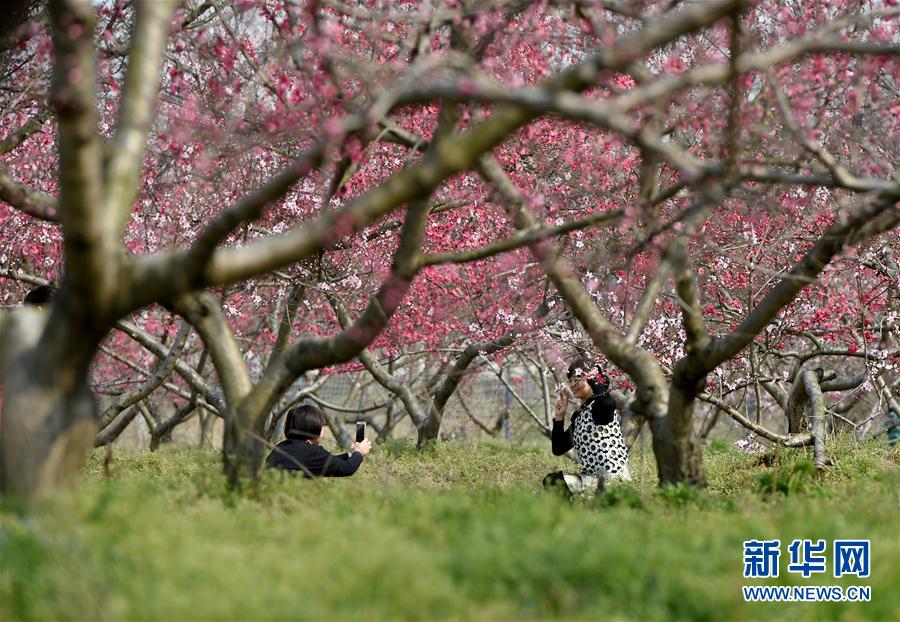 ��ʮ���һ��������L