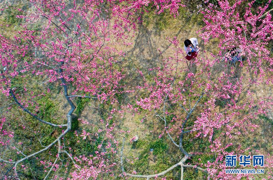 ��ʮ���һ��������L