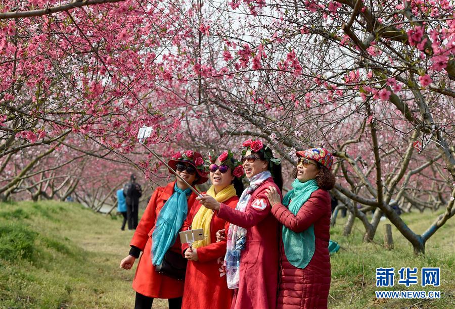 ��ʮ���һ��������L