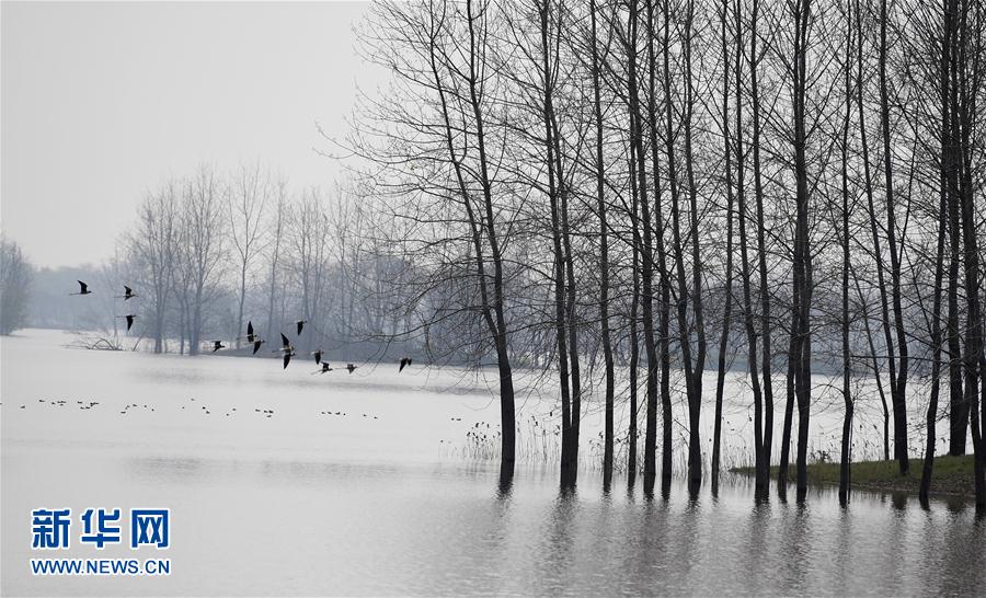 ���ջ���ˮ�T�� ǧ��ˮ���f핲�