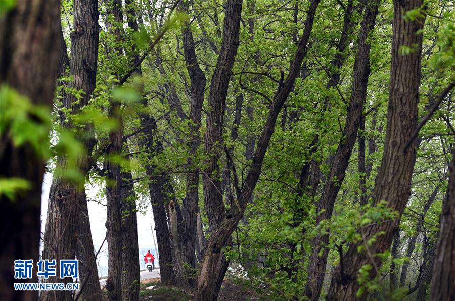 ���ջ���ˮ�T�� ǧ��ˮ���f핲�