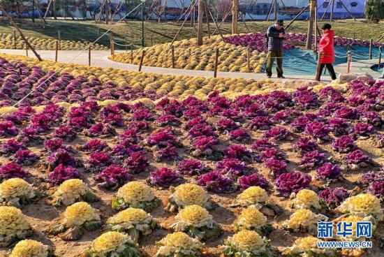 ���h(hu��n)������1�������������p���{