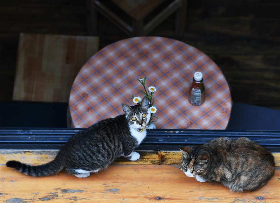 ���������5���ؑc�������Ą�(chu��ng)�օ^(q��)��������A