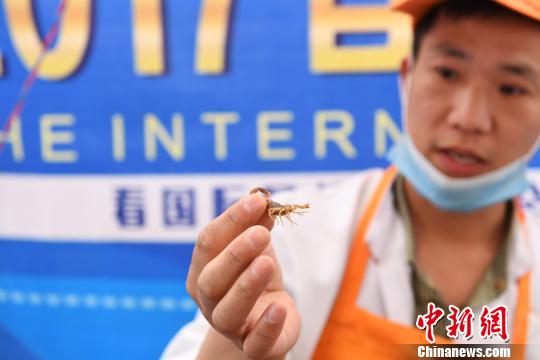 �D��̩�����x���ϰ�����������x�������G�� �z