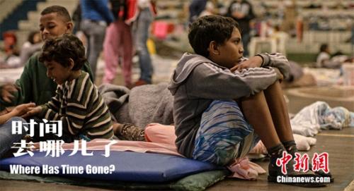 ������Ƭ����