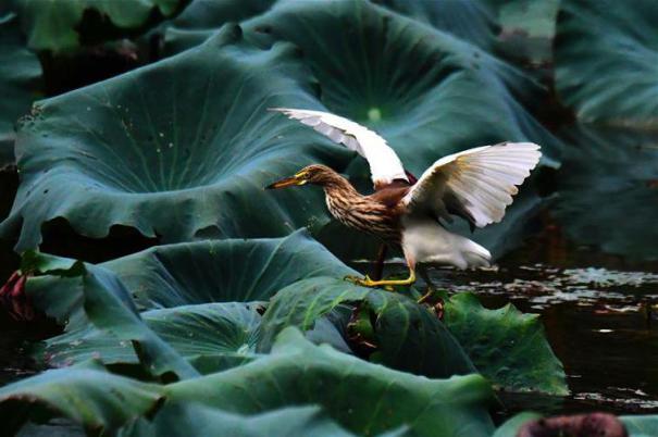 �������Ї�����1�����ݣ�����r��(ji��) �L(f��ng)���箋