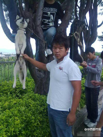 �W(w��ng)������Ű������Ƭ���ؑ�(y��ng)�Q�P(gu��n)��ƨ����