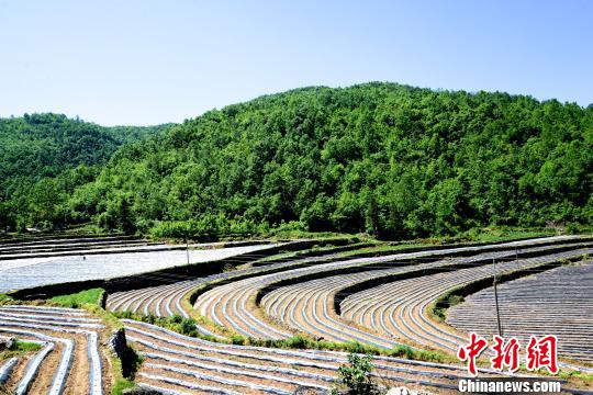 駐村日記:產(chǎn)業(yè)故事·扶貧產(chǎn)業(yè)發(fā)展的“精準服務(wù)經(jīng)”