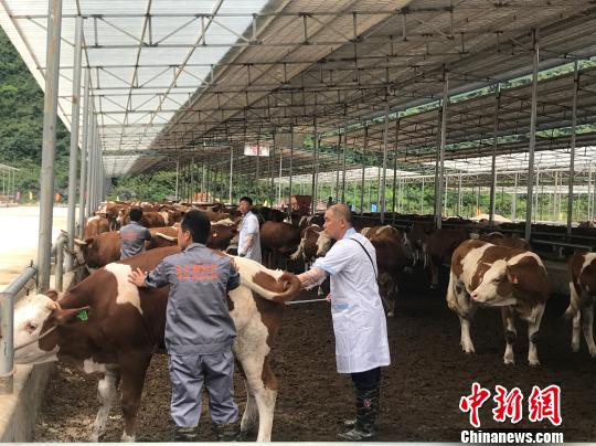 �V����ס�a(ch��n)�I(y��)��ؚ��ţ���ӡ�����ؚ���؅^(q��)�_ͨ���¸���܇��