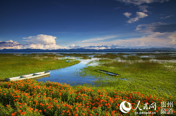 �F�ݲݺ��C��������Ч���@��