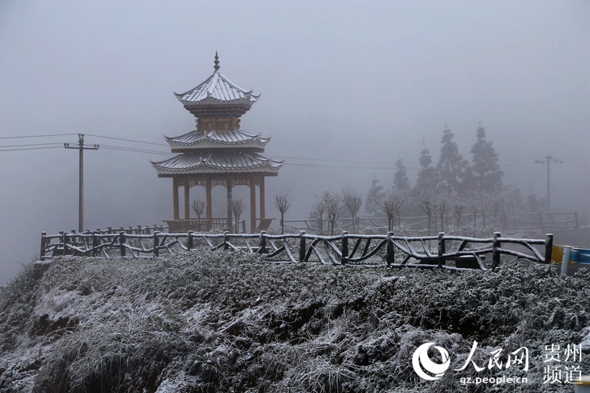 �D��������w�ě�ͤ��