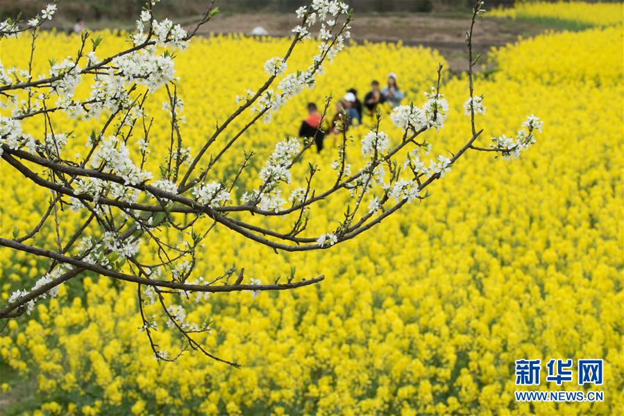 #���������20���p��̤�������r