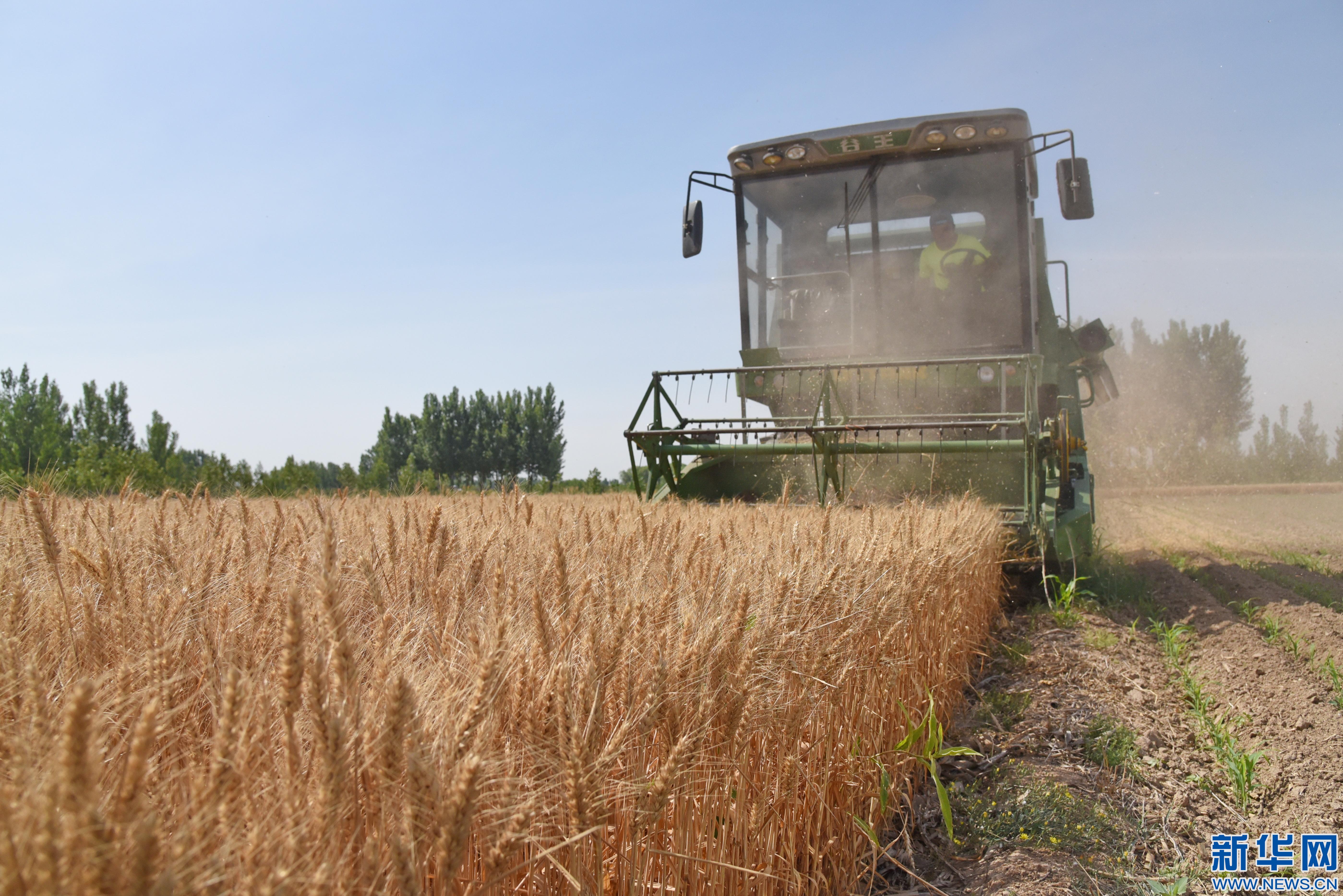 �ӱ�С���_��ի@