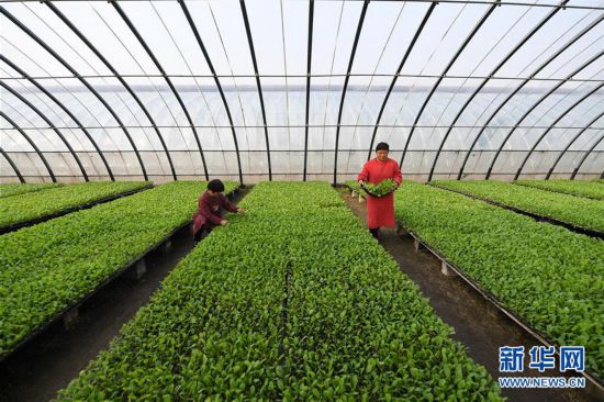 ����(j��ng)������1���ӱ���¹��æ���� ������