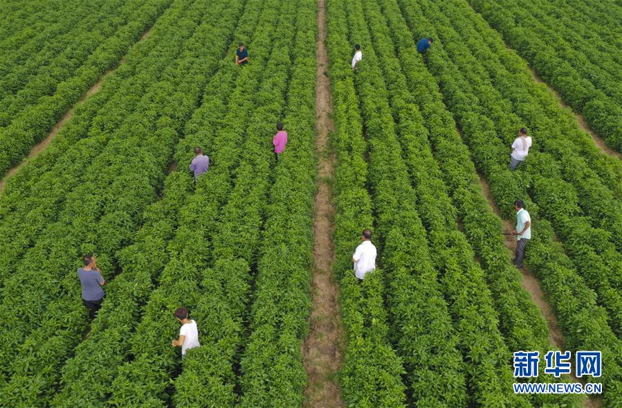 ����(j��ng)��(j��)����1���ӱ���ˮ��С�����_���¸���·��