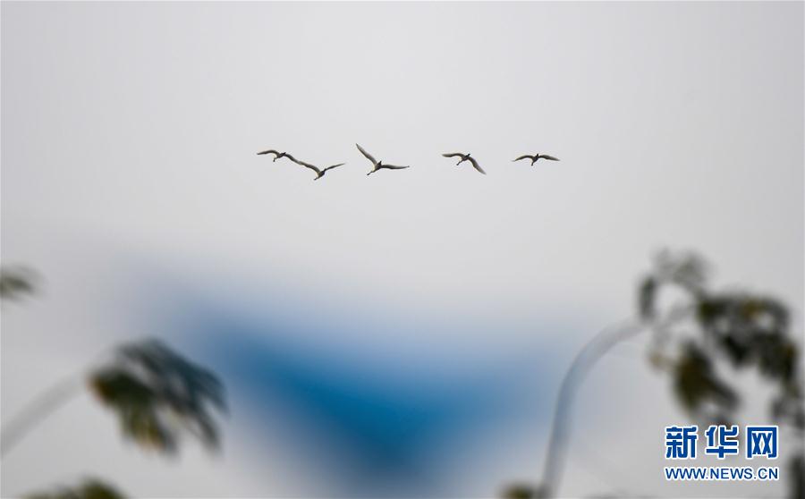 ���h(hu��n)������4���紺�����w