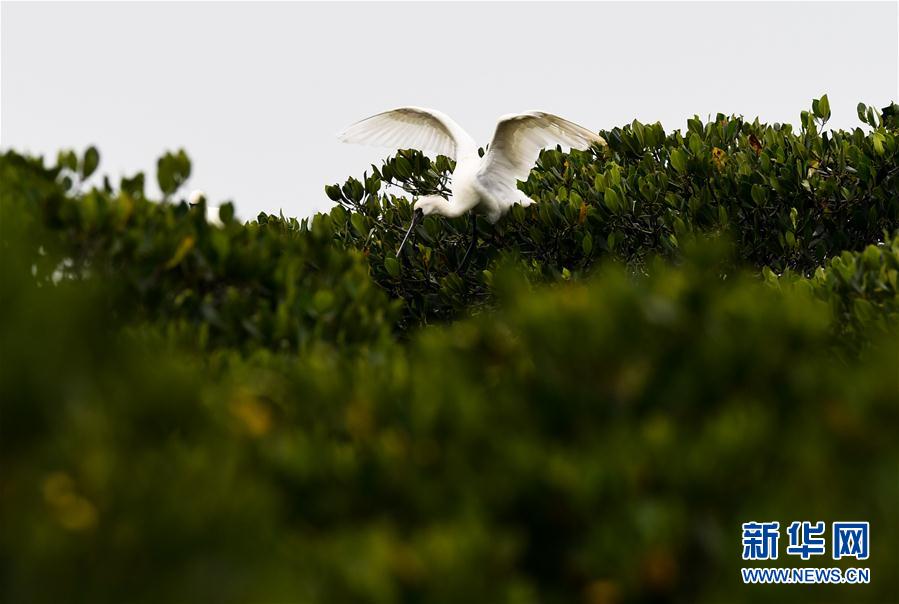 ���h(hu��n)������5���紺�����w