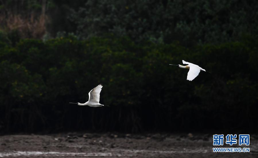 ���h(hu��n)������6���紺�����w