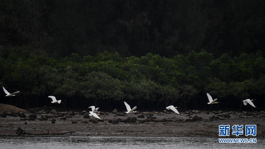 �����Aҕ�磩��4���紺�����w