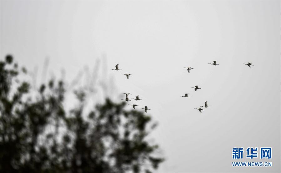 �����Aҕ�磩��5���紺�����w