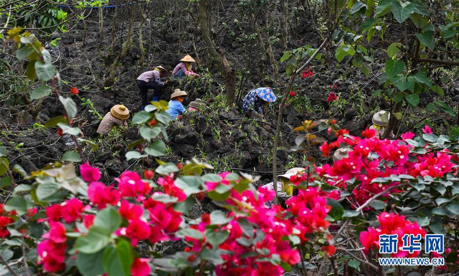 ���������2������ʩ�裺��ɫ�a(ch��n)�I(y��)������