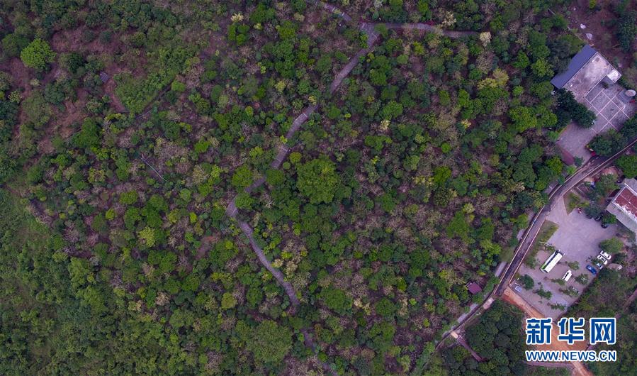 ���������3������ʩ�裺��ɫ�a(ch��n)�I(y��)������