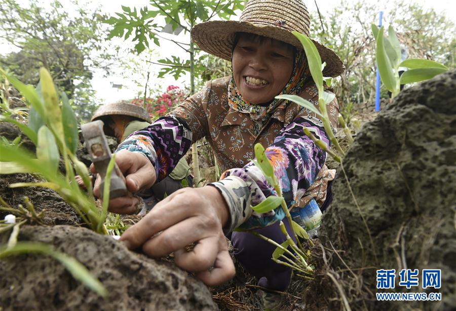 ���������4������ʩ�裺��ɫ�a(ch��n)�I(y��)������